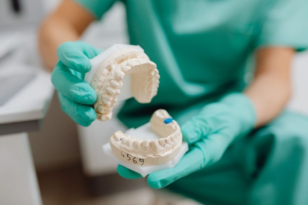 Dentist holding a dental cast showing crowned teeth